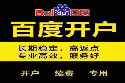 百度推广代运营公司成功案例解析