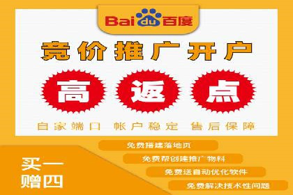 百度竞价代理的投放策略及某行业成功案例